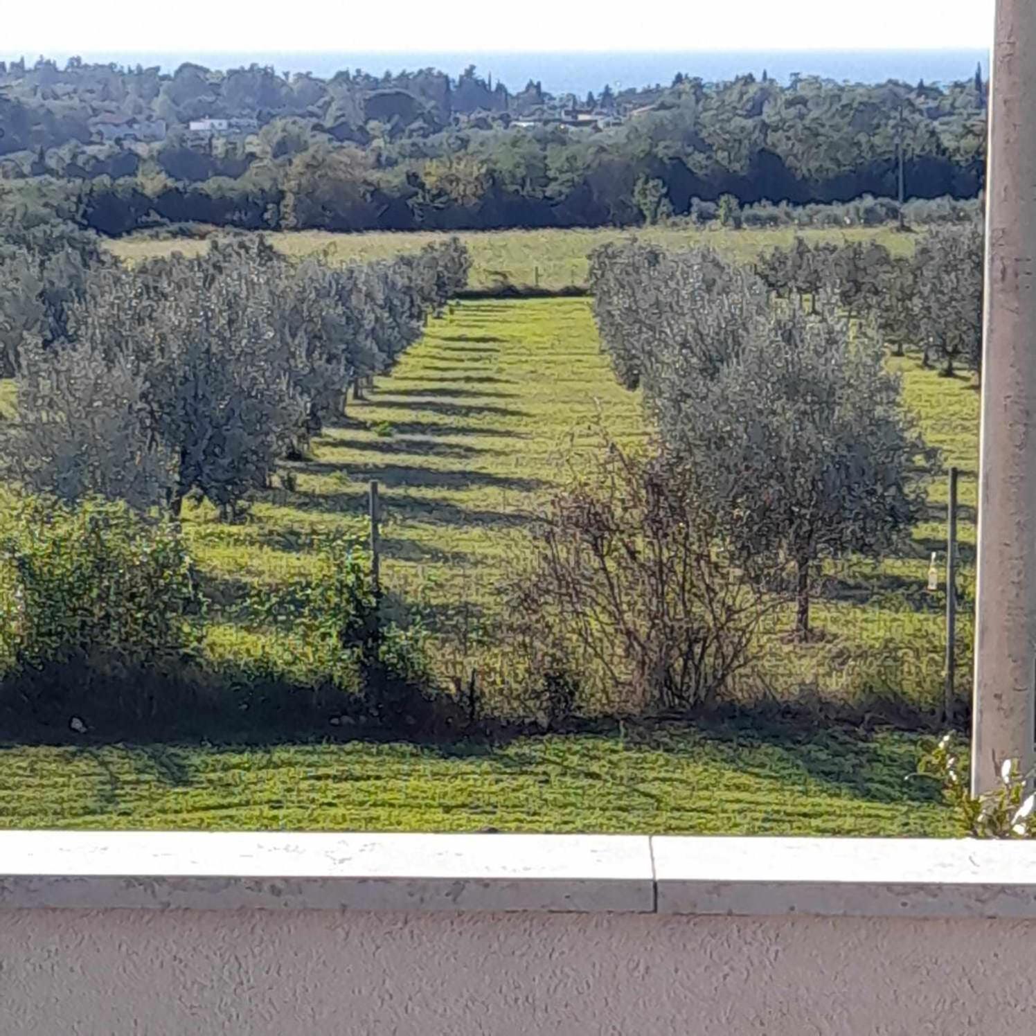 Smokvica Apartment Savudrija Bagian luar foto