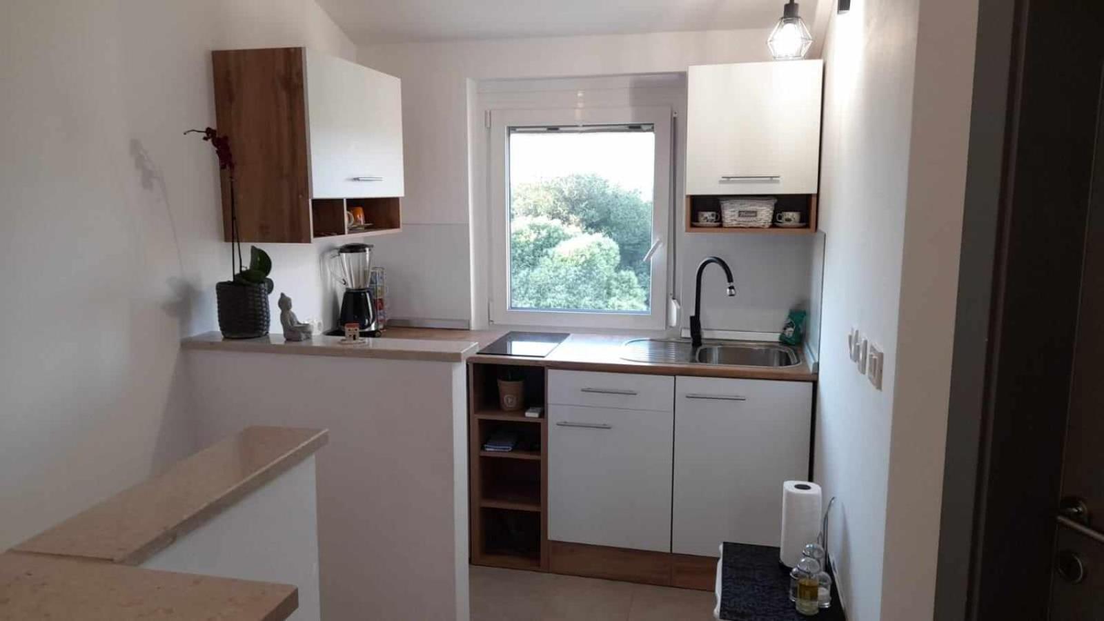 Smokvica Apartment Savudrija Bagian luar foto